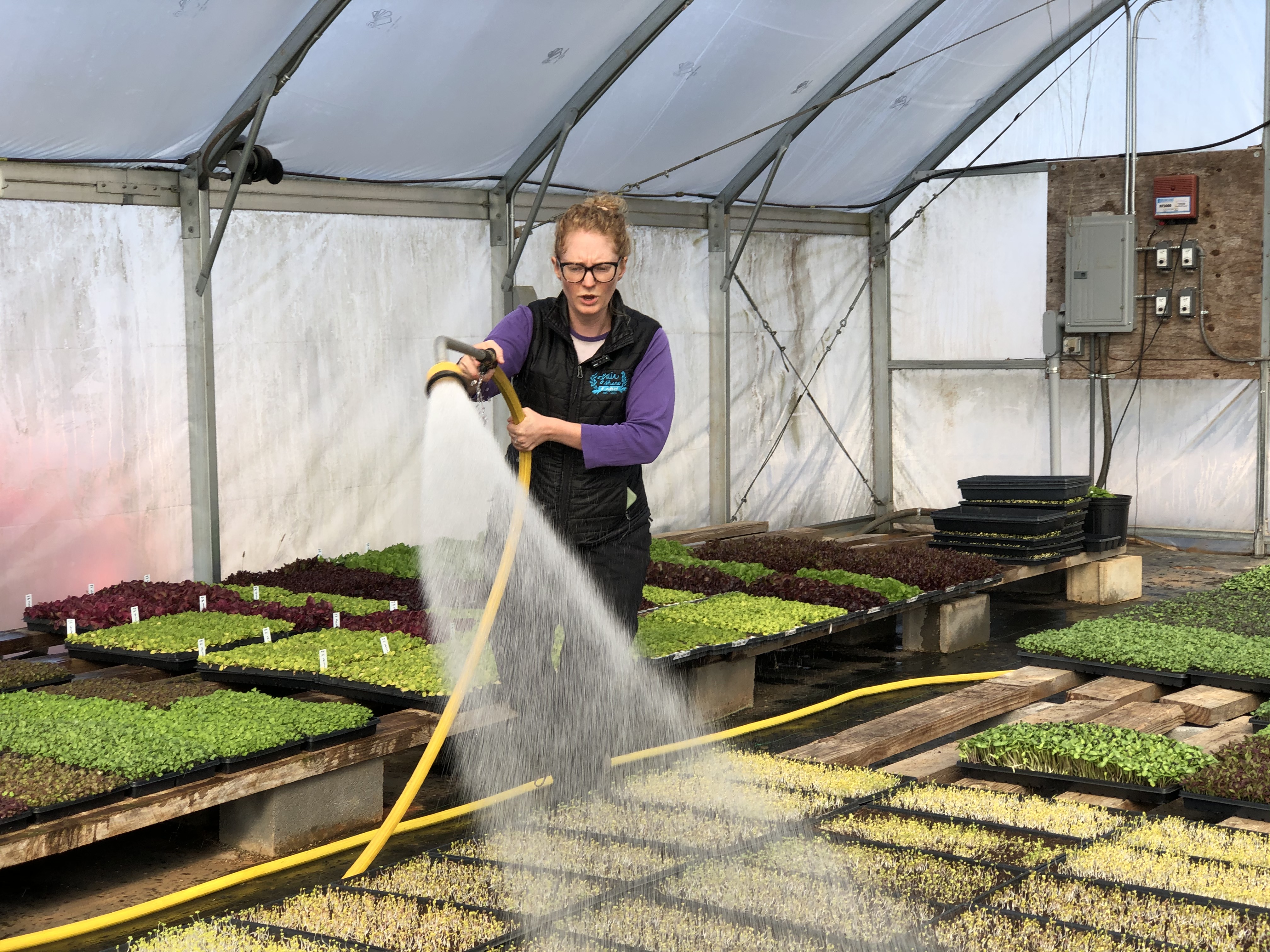 State Fair Recognizes Rockingham County Farmer Amongst Other 'Ag