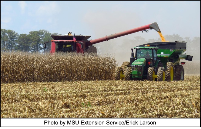 Corn Harvesting for Fresh Corn, Processing Corn & Corn Silage