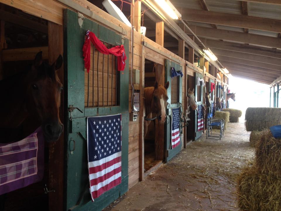 Nc State 4 H Horse Show Stall Decorating Contest Extension