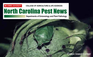 NC Pest News banner