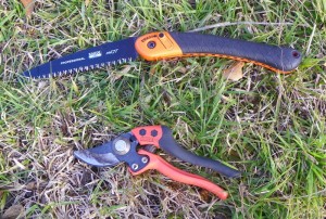 Pruning tools