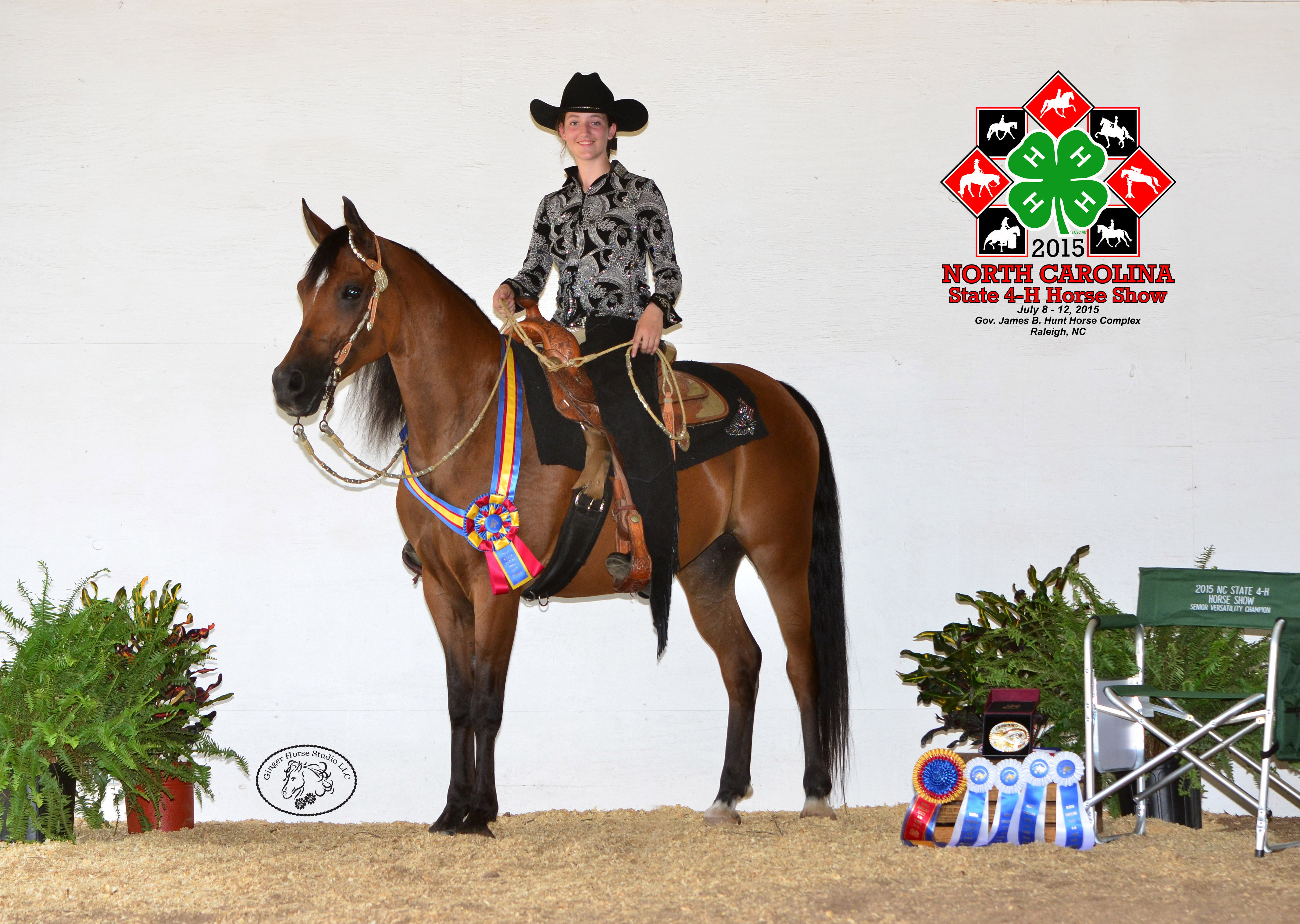 NC State 4-H Horse Show Champions Crowned NC State Extension