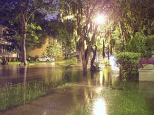 Cover photo for Publication: Managing the Impact of Floodwater Contaminants on Soil and Produce in Residential, Community, and School Vegetable Gardens