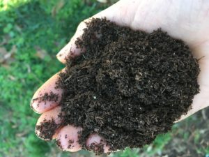 Composting Scurvy Weed - Direct Compost Solutions