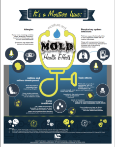 Cover photo for It's a Moisture Issue:  Moisture and Mold Health Effects