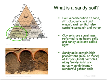 Gardening In Sandy Soils N C Cooperative Extension   Sandysoils Web 