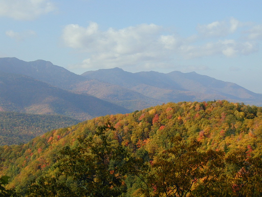 Change Is in the Air: The Miracle of Fall Colors | NC State Extension