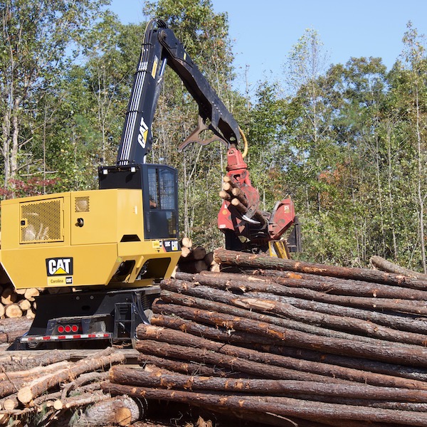 Timber Industry in North Carolina Contributed Over $915 Million in 2017