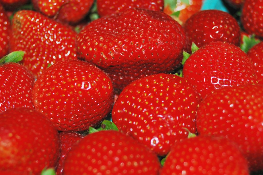 The Prospects of American Strawberries | NC State Extension