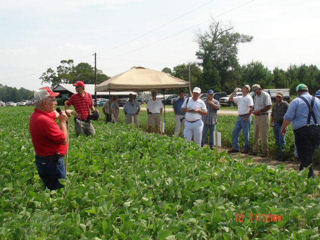 Early Soybeans Can Work In North Carolina | NC State Extension