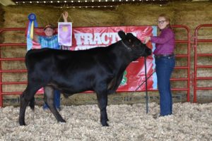 Cover photo for 2019 Swain County Fair Youth Livestock Show Winners & Volunteers