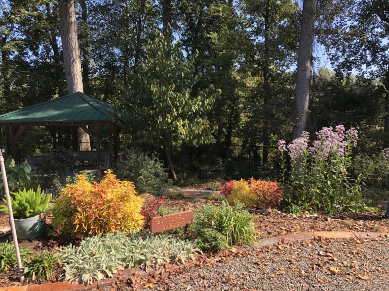 Volunteer for the Fall Workday at Tanglewood Arboretum | N.C ...