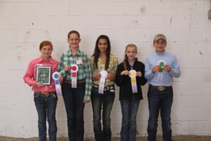 Cover photo for Southeastern Regional & NC State Fair Contest Results
