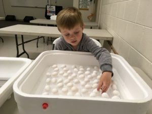 Cover photo for Incubating Quail Eggs:  Days 8-9