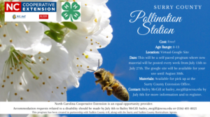 Cover photo for Pollination Station Program