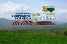 Cover photo for 2021 WNC AgOptions Grant Cycle Now Open