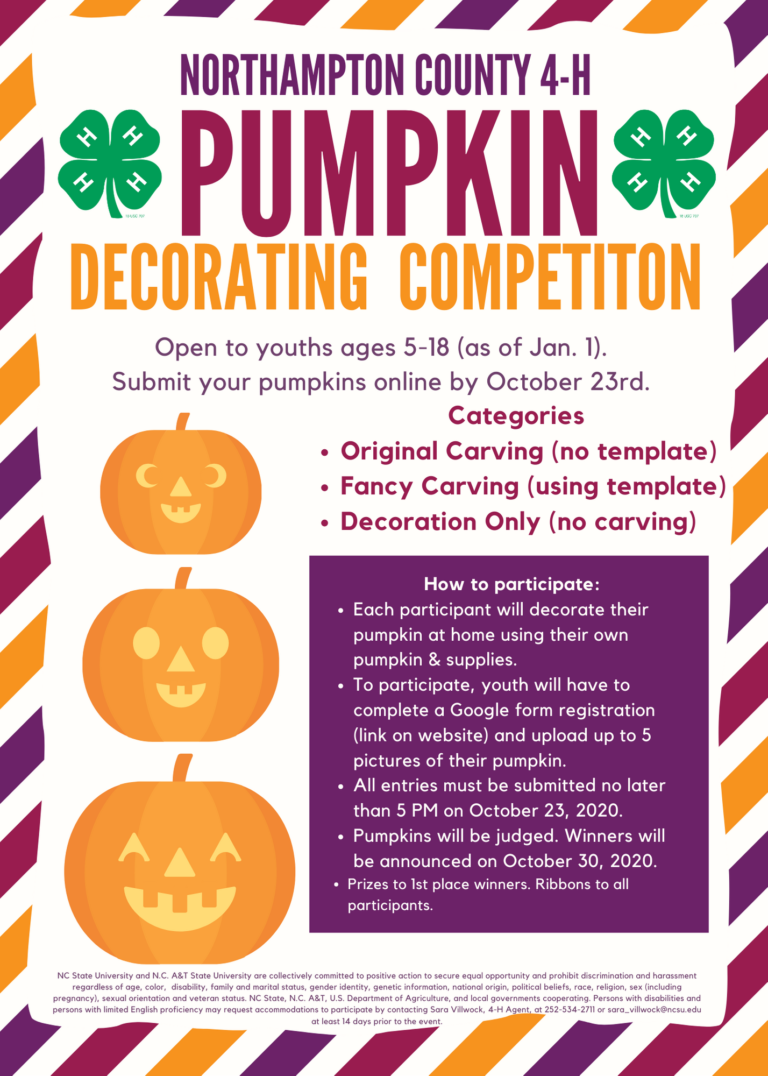 chowan-county-4-h-pumpkin-decorating-contest-north-carolina