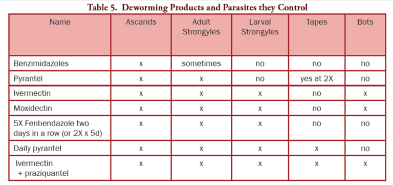 Fall Deworming for Horses