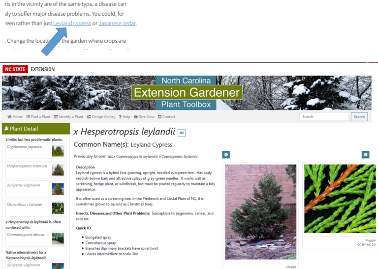 extension-gardener-handbook-top-hat-interactive-version-nc-state