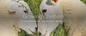 Cover photo for Introducing a New Addition to the Growing Chatham Newsletter, the Growing Chatham Podcast