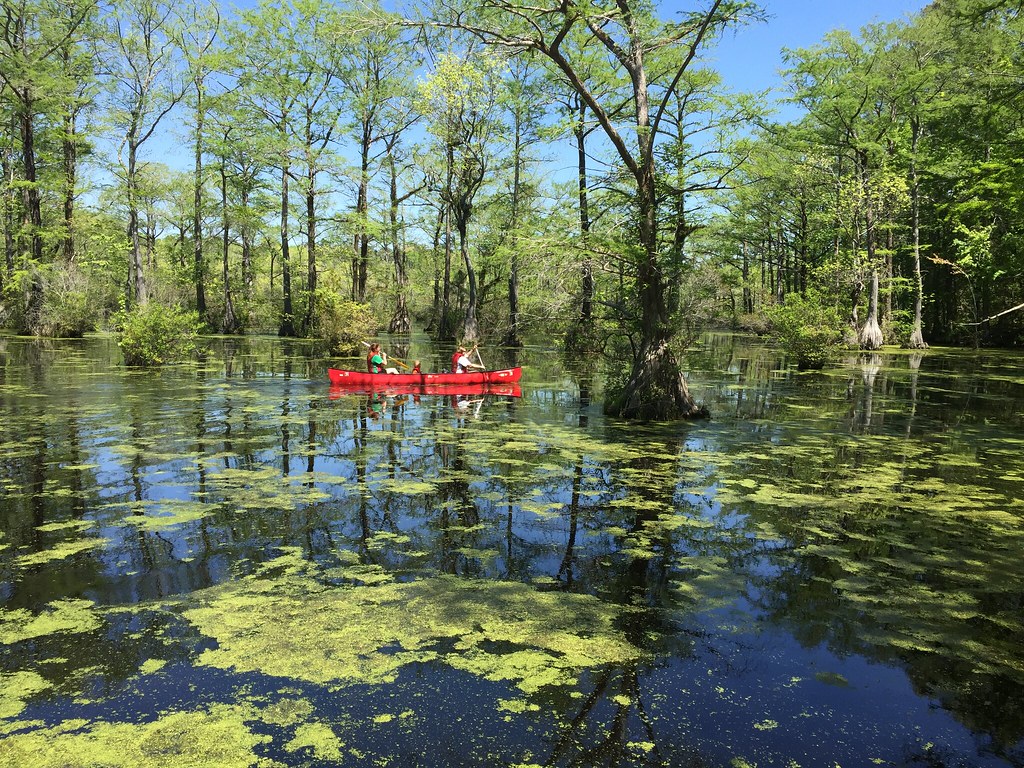 Merchants Millpond State Park | N.C. Cooperative Extension