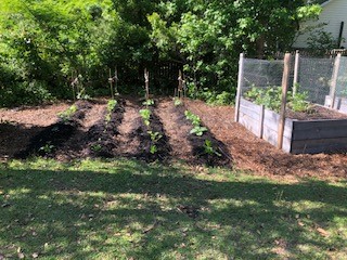 Mulching Your Garden Beds | N.C. Cooperative Extension