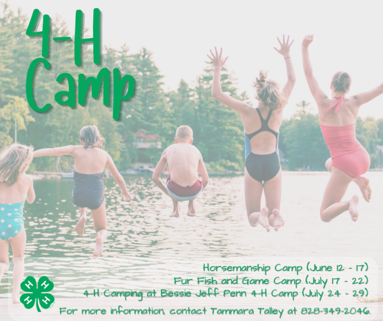 4H Camp Is Already on Our Minds! Extension Marketing and Communications