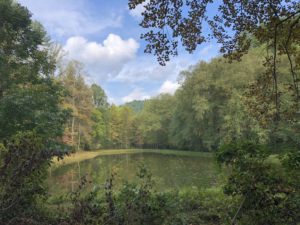 The pond at Anita Alta