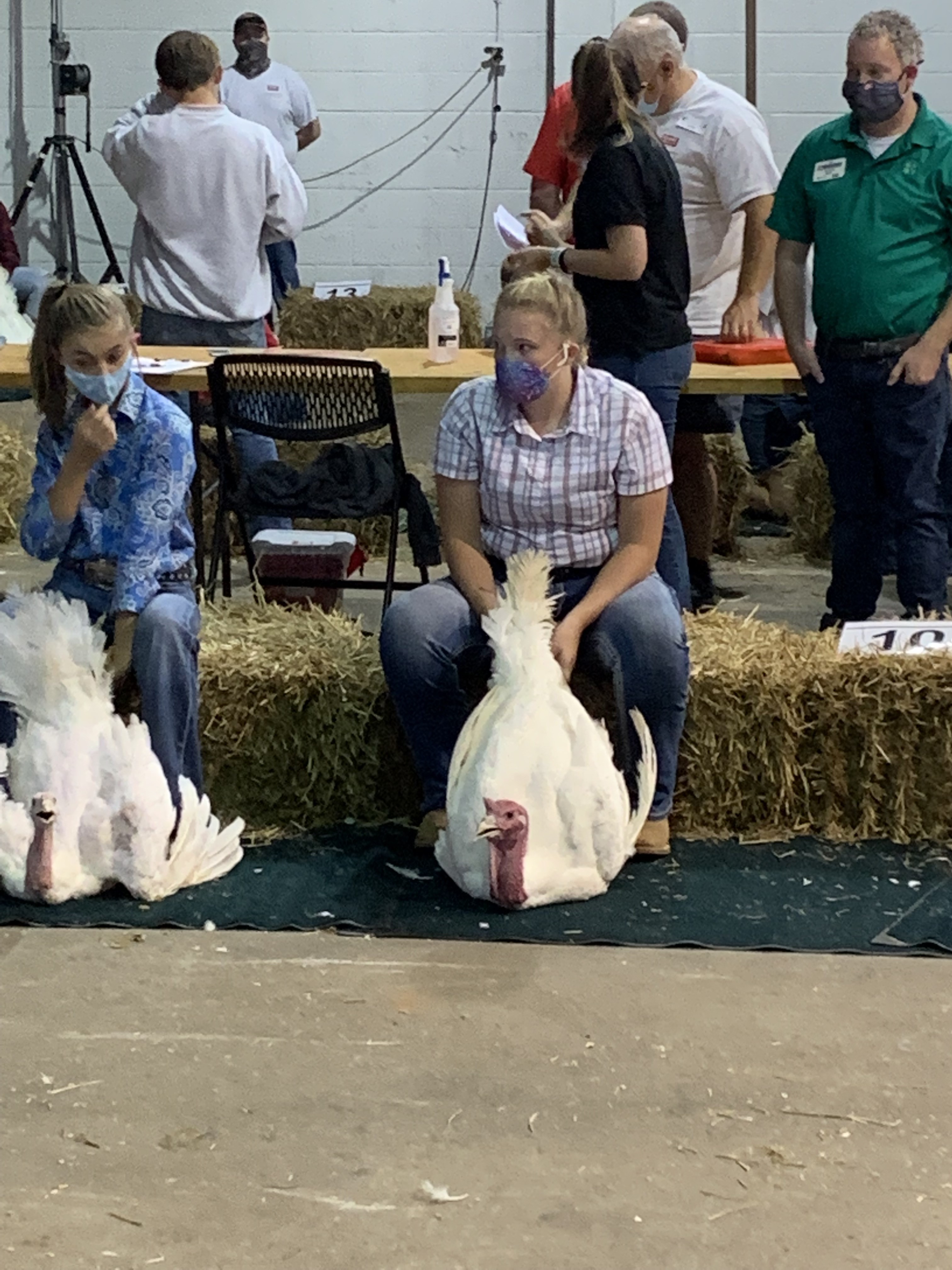 Youth Livestock: Recent Happenings / Contest Results | N.C. Cooperative ...