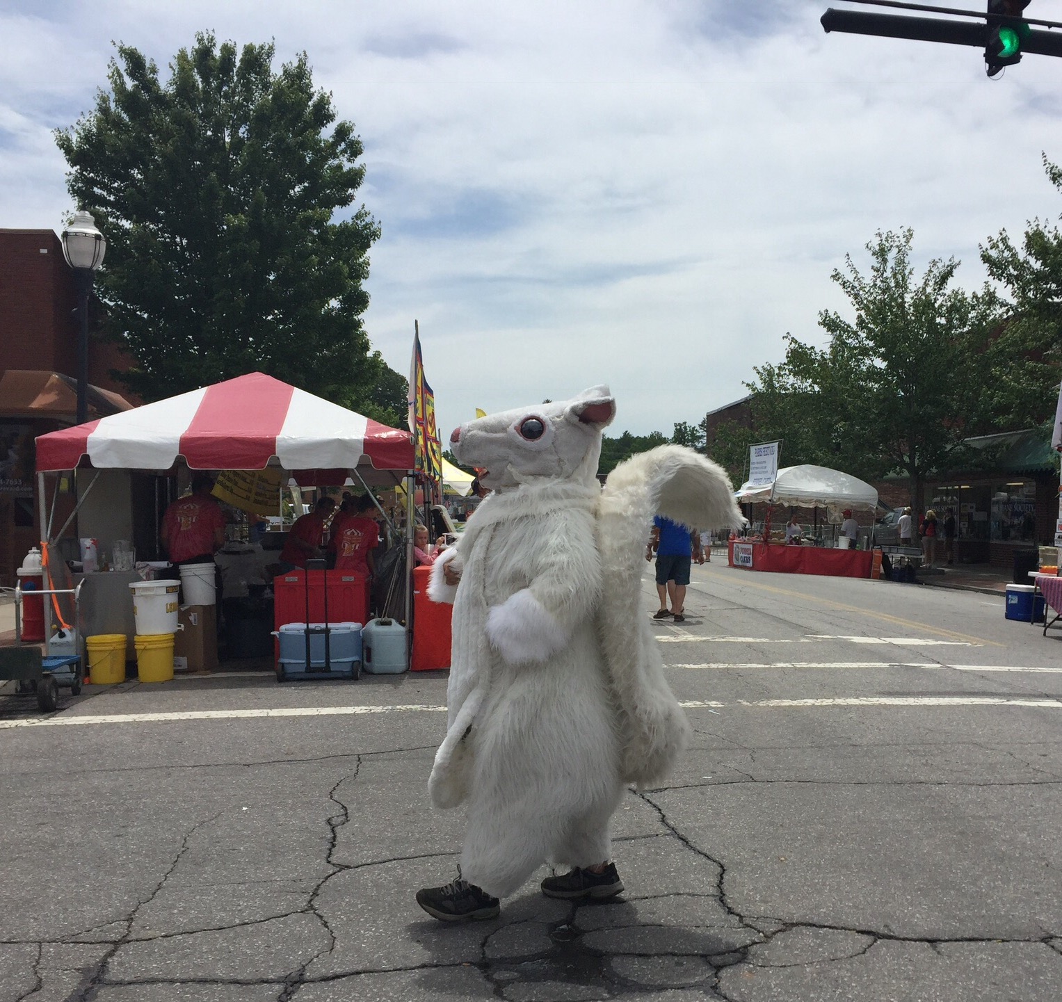 White Squirrels In Henderson County N C Cooperative Extension   White Squirrel Copy 