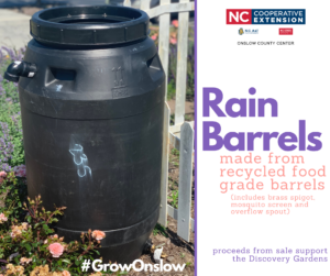 Rain Barrel