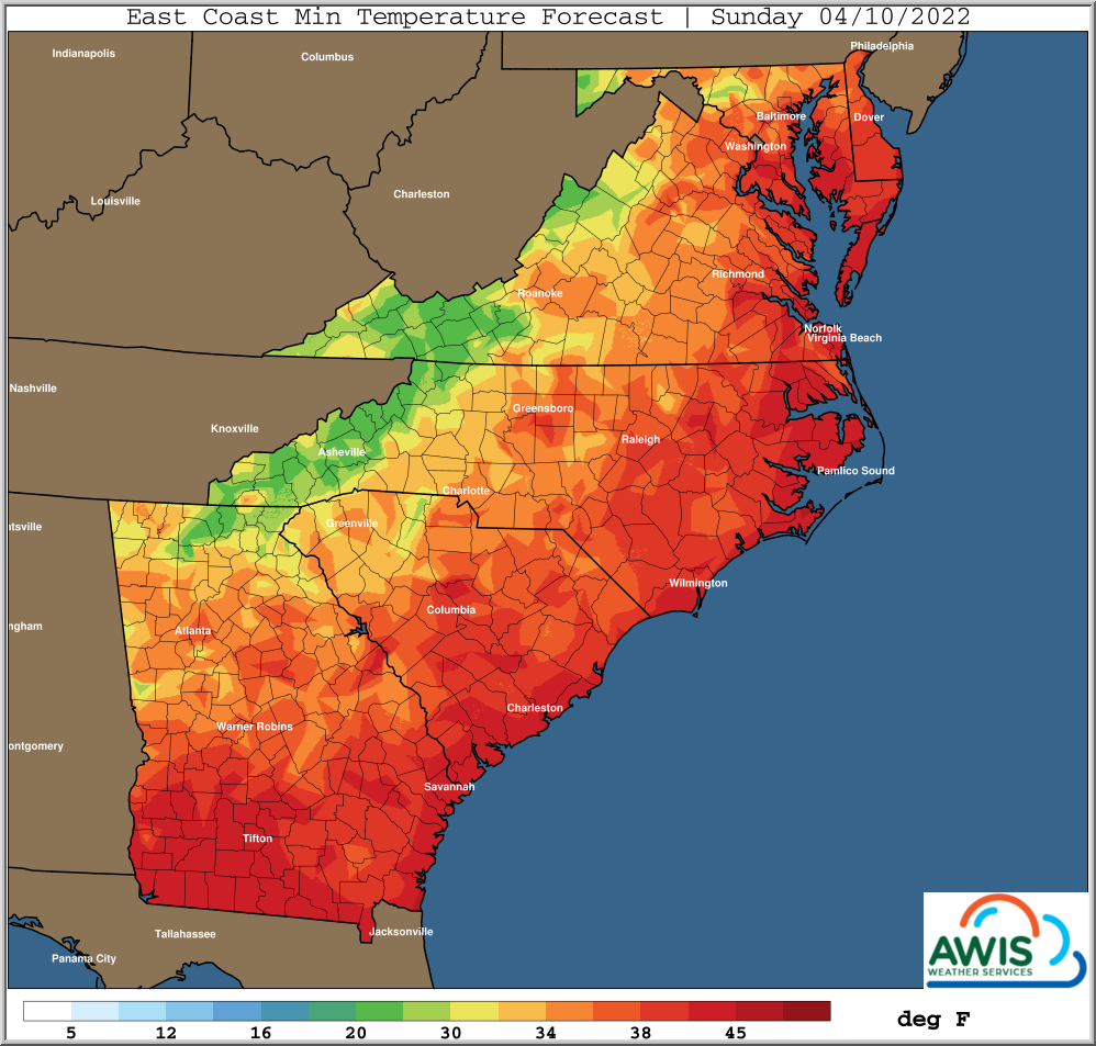 AWIS Weather Forecast: FROST Ahead in NC | NC State Extension