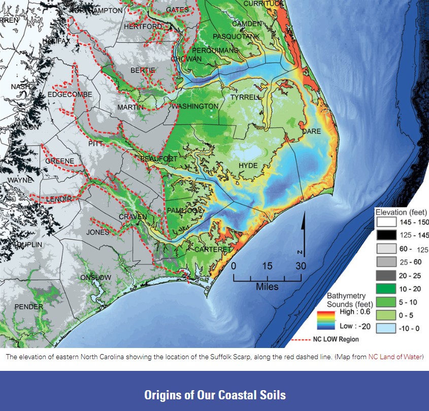 Climate in the NC Coastal Plain | NC State Extension