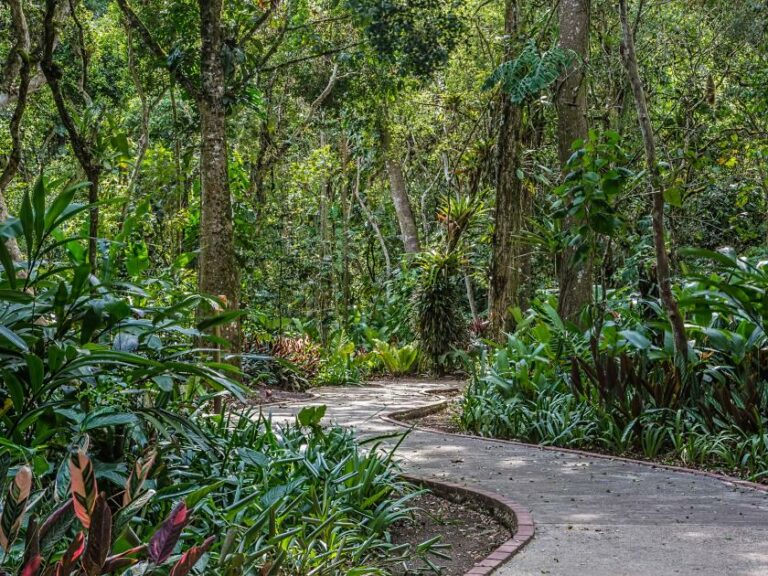 Destination: Lankester Gardens – Costa Rica | NC State Extension