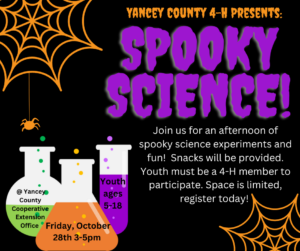 Cover photo for 4-H Spooky Science Workshop