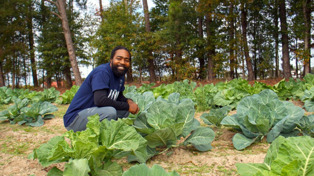 nc-state-apprenticeship-programs-introduce-veterans-to-farming-nc