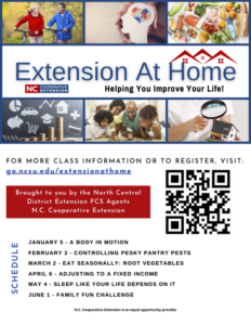 Extension At Home Flyer