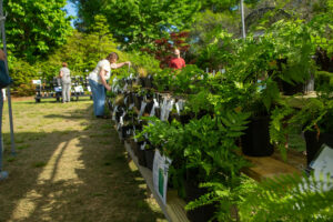 Cover photo for Extension Master Gardener Volunteer Association Plant Sale: April 10th - 13th