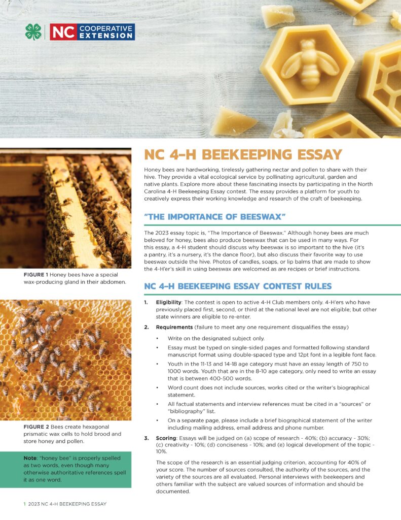 write an essay on beekeeping class 9