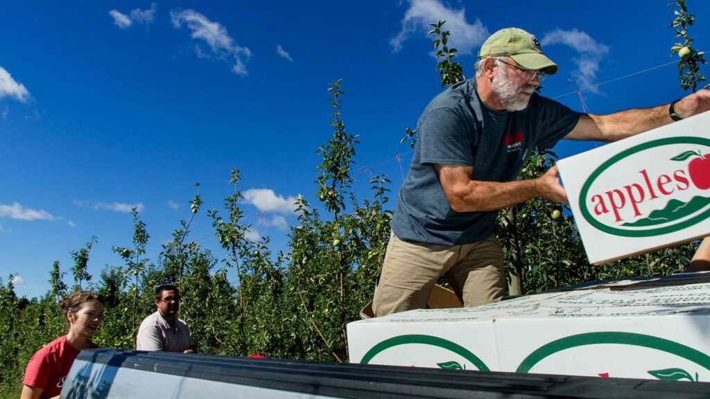 How USDA Scientists are Winning the Battle Against Invasive Fruit