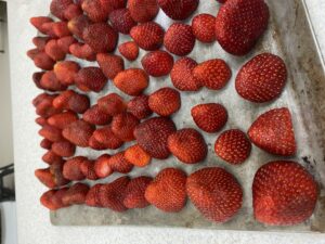 strawberries on a tray