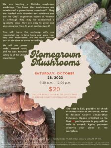 Cover photo for Homegrown Mushrooms Workshop