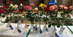 Cover photo for Cleveland Lincoln County Rose Show