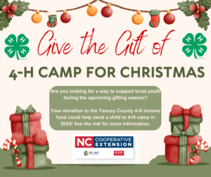 Cover photo for 4-H Camp for Christmas