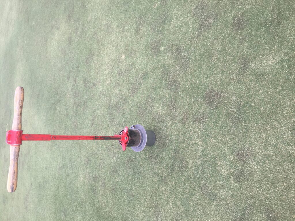 Purple Spots On Your Ultradwarf Bermudagrass Putting Greens? | NC State ...