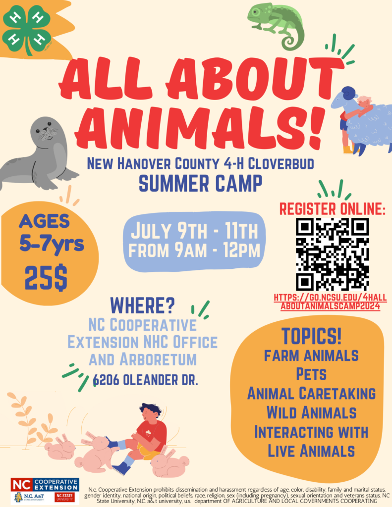 4-H Summer Camps 2024 | N.C. Cooperative Extension