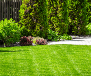 Beautiful yard. Envy of the Neighborhood.