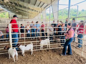 Cover photo for Macon County 4-H Livestock Judging Team