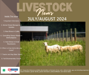 July August Livestock News featuring Sheep on the cover