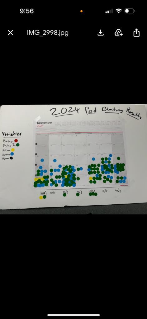 Pod Blasting Results Pitt County Sep 20 Peanut Notes No. 232 2024 | NC ...